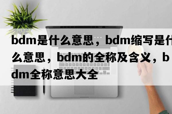 bdm是什么意思，bdm縮寫(xiě)是什么意思，bdm的全稱(chēng)及含義，bdm全稱(chēng)意思大全