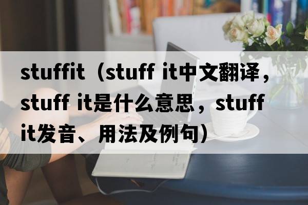 stuffit（stuff it中文翻譯，stuff it是什么意思，stuff it發(fā)音、用法及例句）