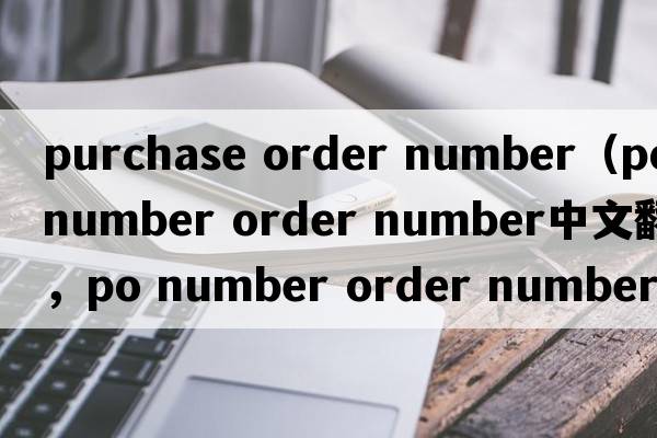 purchase order number（po number order number中文翻譯，po number order number是什么意思，po number order number發(fā)