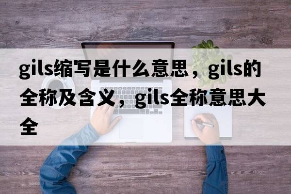 gils縮寫(xiě)是什么意思，gils的全稱(chēng)及含義，gils全稱(chēng)意思大全