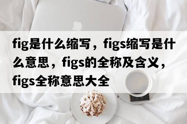 fig是什么縮寫(xiě)，figs縮寫(xiě)是什么意思，figs的全稱(chēng)及含義，figs全稱(chēng)意思大全