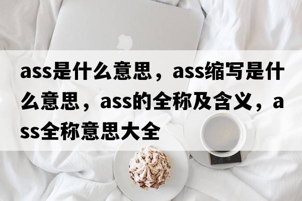 ass是什么意思，ass縮寫(xiě)是什么意思，ass的全稱(chēng)及含義，ass全稱(chēng)意思大全