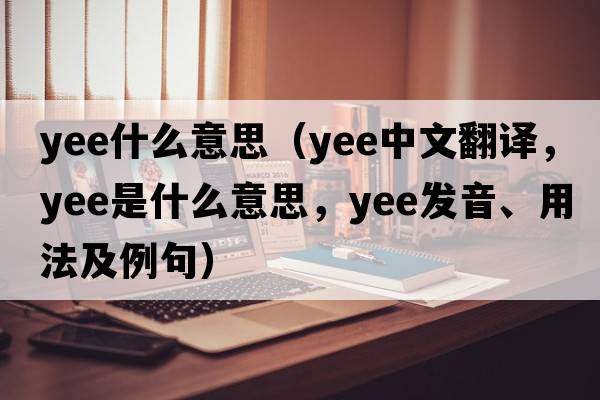 yee什么意思（Yee中文翻譯，Yee是什么意思，Yee發(fā)音、用法及例句）