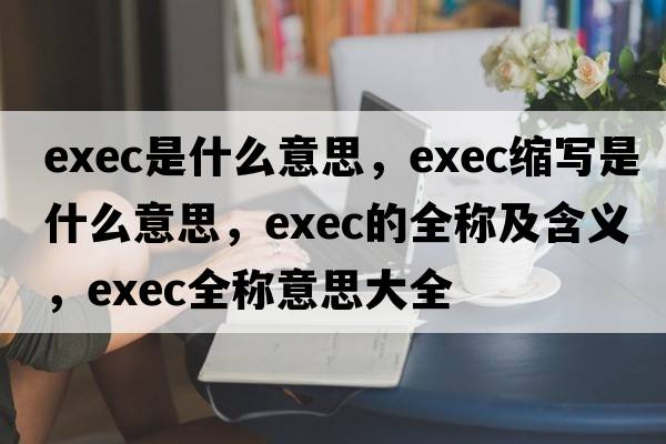 exec是什么意思，exec縮寫(xiě)是什么意思，exec的全稱(chēng)及含義，exec全稱(chēng)意思大全