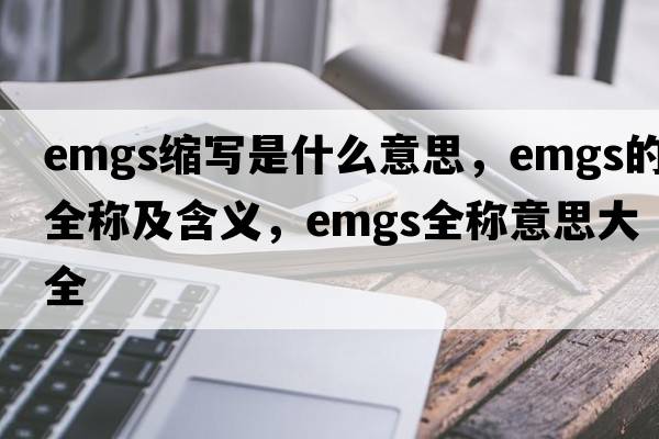 emgs縮寫(xiě)是什么意思，emgs的全稱(chēng)及含義，emgs全稱(chēng)意思大全