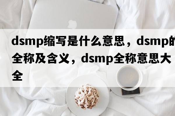 dsmp縮寫(xiě)是什么意思，dsmp的全稱(chēng)及含義，dsmp全稱(chēng)意思大全