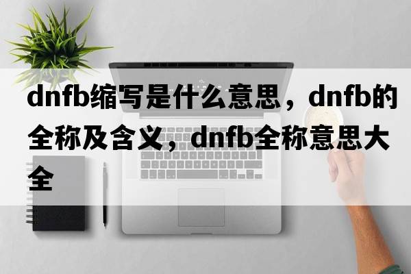 dnfb縮寫(xiě)是什么意思，dnfb的全稱(chēng)及含義，dnfb全稱(chēng)意思大全