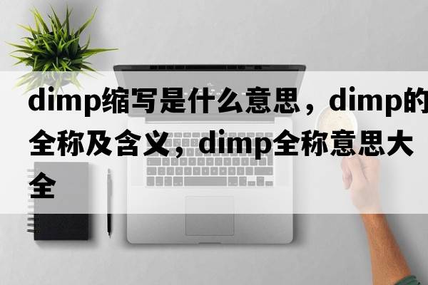 dimp縮寫(xiě)是什么意思，dimp的全稱(chēng)及含義，dimp全稱(chēng)意思大全