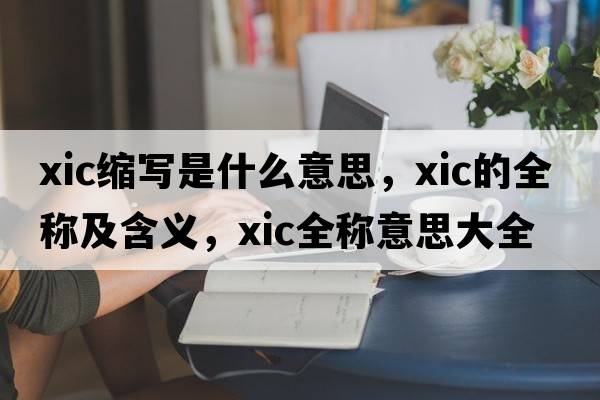 xic縮寫(xiě)是什么意思，xic的全稱(chēng)及含義，xic全稱(chēng)意思大全