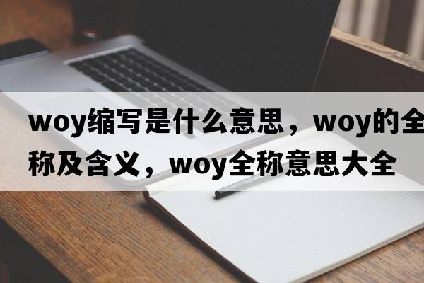woy縮寫(xiě)是什么意思，woy的全稱(chēng)及含義，woy全稱(chēng)意思大全