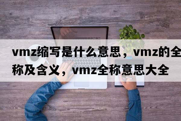 vmz縮寫(xiě)是什么意思，vmz的全稱(chēng)及含義，vmz全稱(chēng)意思大全
