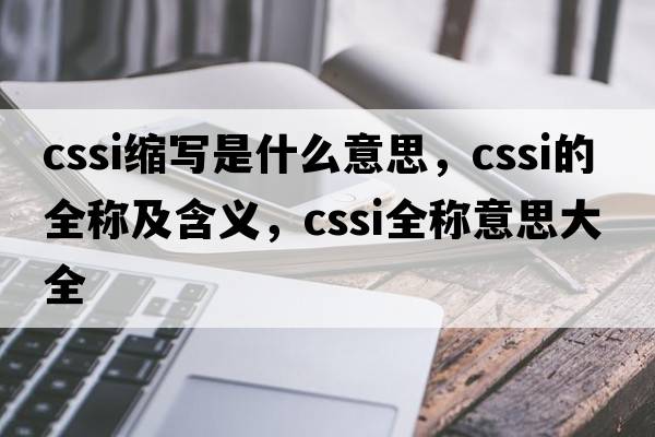 cssi縮寫(xiě)是什么意思，cssi的全稱(chēng)及含義，cssi全稱(chēng)意思大全