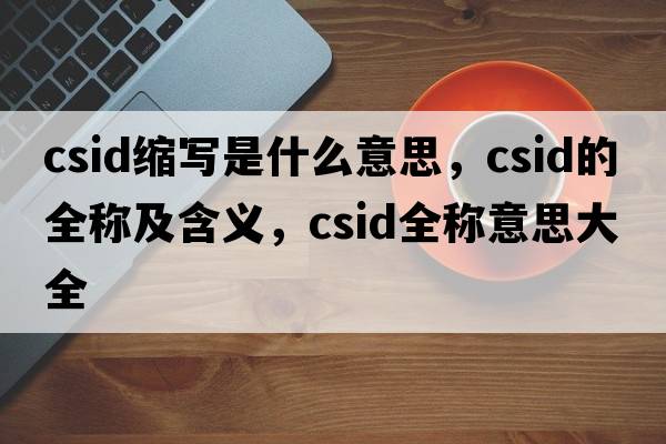 csid縮寫(xiě)是什么意思，csid的全稱(chēng)及含義，csid全稱(chēng)意思大全