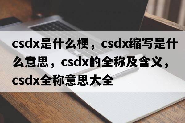 csdx是什么梗，csdx縮寫(xiě)是什么意思，csdx的全稱(chēng)及含義，csdx全稱(chēng)意思大全
