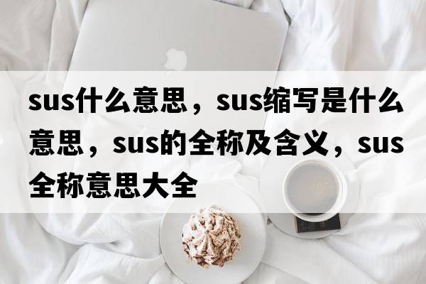 sus什么意思，sus縮寫(xiě)是什么意思，sus的全稱(chēng)及含義，sus全稱(chēng)意思大全
