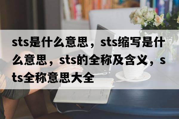 sts是什么意思，sts縮寫(xiě)是什么意思，sts的全稱(chēng)及含義，sts全稱(chēng)意思大全