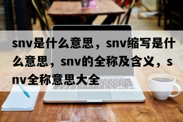 snv是什么意思，snv縮寫(xiě)是什么意思，snv的全稱(chēng)及含義，snv全稱(chēng)意思大全