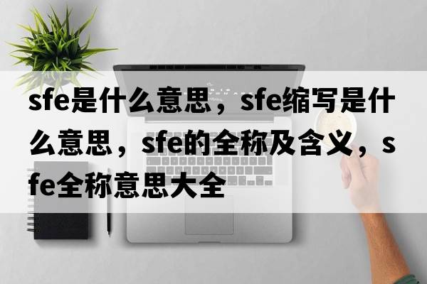 sfe是什么意思，sfe縮寫(xiě)是什么意思，sfe的全稱(chēng)及含義，sfe全稱(chēng)意思大全