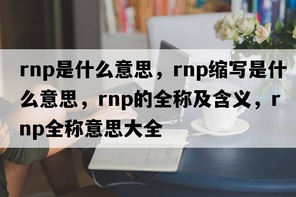 rnp是什么意思，rnp縮寫(xiě)是什么意思，rnp的全稱(chēng)及含義，rnp全稱(chēng)意思大全