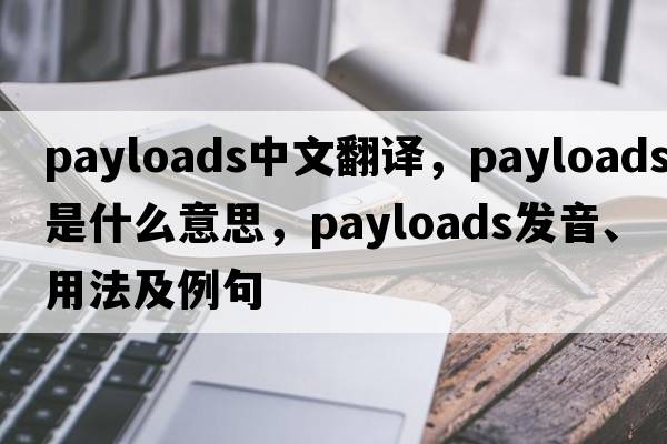 payloads中文翻譯，payloads是什么意思，payloads發(fā)音、用法及例句