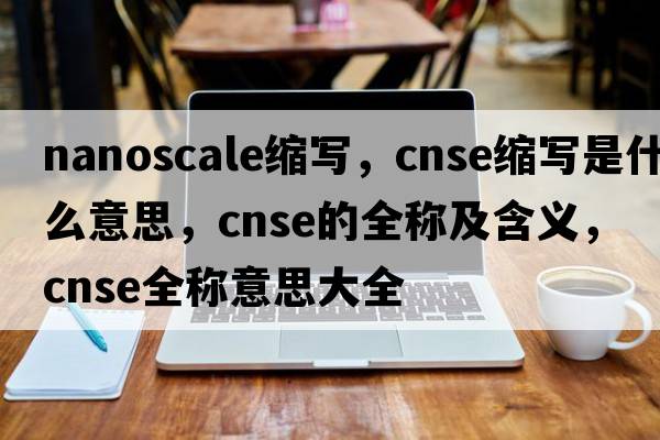 nanoscale縮寫(xiě)，cnse縮寫(xiě)是什么意思，cnse的全稱(chēng)及含義，cnse全稱(chēng)意思大全
