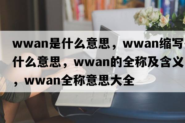 wwan是什么意思，wwan縮寫(xiě)是什么意思，wwan的全稱(chēng)及含義，wwan全稱(chēng)意思大全