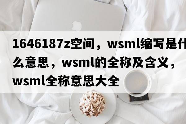 1646187Z空間，wsml縮寫(xiě)是什么意思，wsml的全稱(chēng)及含義，wsml全稱(chēng)意思大全