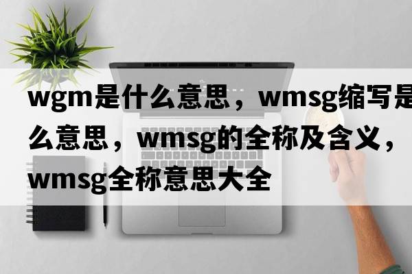 wgm是什么意思，wmsg縮寫(xiě)是什么意思，wmsg的全稱(chēng)及含義，wmsg全稱(chēng)意思大全
