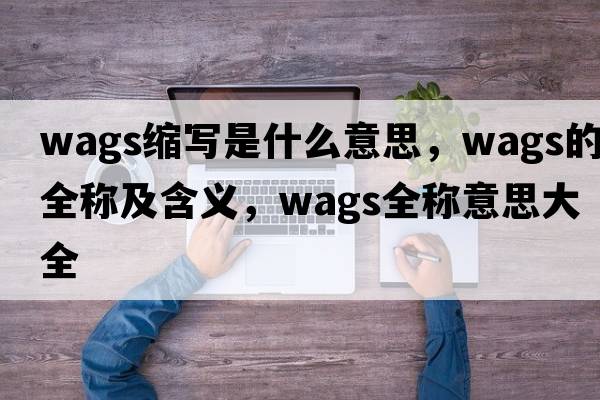 wags縮寫(xiě)是什么意思，wags的全稱(chēng)及含義，wags全稱(chēng)意思大全