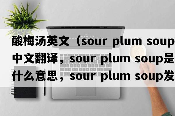 酸梅湯英文（sour plum soup中文翻譯，sour plum soup是什么意思，sour plum soup發(fā)音、用法及例句）