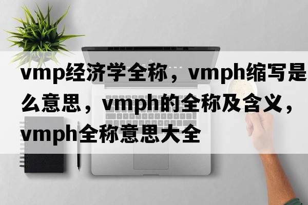 vmp經(jīng)濟學(xué)全稱(chēng)，vmph縮寫(xiě)是什么意思，vmph的全稱(chēng)及含義，vmph全稱(chēng)意思大全