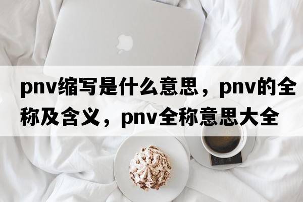 pnv縮寫(xiě)是什么意思，pnv的全稱(chēng)及含義，pnv全稱(chēng)意思大全