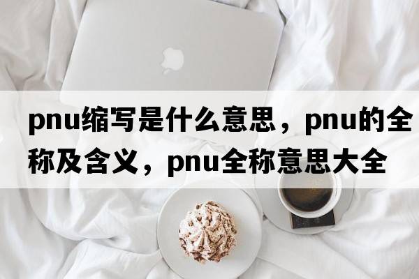pnu縮寫(xiě)是什么意思，pnu的全稱(chēng)及含義，pnu全稱(chēng)意思大全