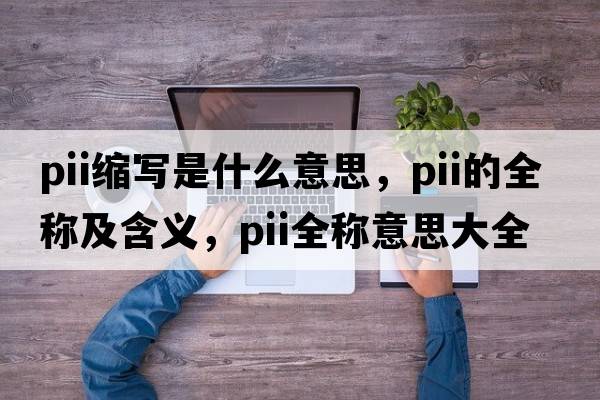 pii縮寫(xiě)是什么意思，pii的全稱(chēng)及含義，pii全稱(chēng)意思大全