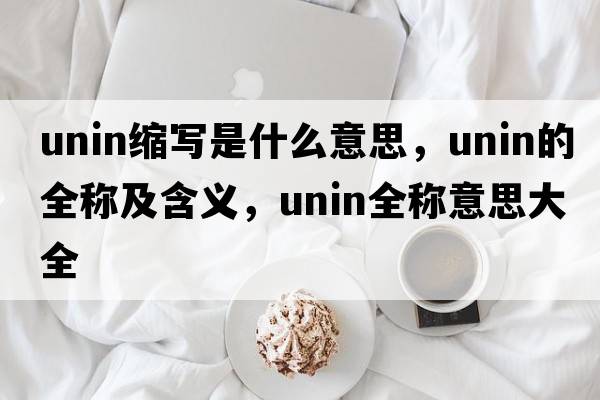 unin縮寫(xiě)是什么意思，unin的全稱(chēng)及含義，unin全稱(chēng)意思大全