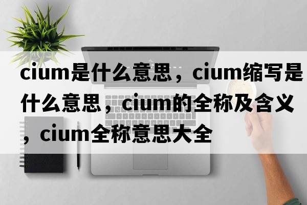 cium是什么意思，cium縮寫(xiě)是什么意思，cium的全稱(chēng)及含義，cium全稱(chēng)意思大全