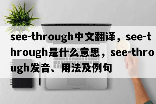 see-through中文翻譯，see-through是什么意思，see-through發(fā)音、用法及例句