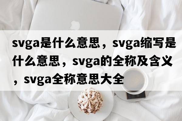 svga是什么意思，svga縮寫(xiě)是什么意思，svga的全稱(chēng)及含義，svga全稱(chēng)意思大全