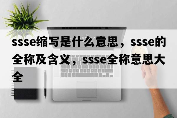 ssse縮寫(xiě)是什么意思，ssse的全稱(chēng)及含義，ssse全稱(chēng)意思大全
