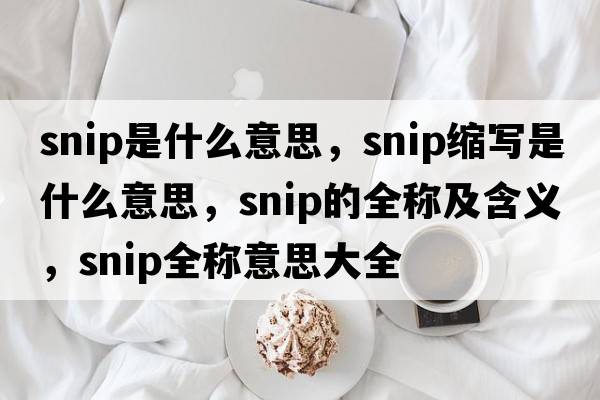 snip是什么意思，snip縮寫(xiě)是什么意思，snip的全稱(chēng)及含義，snip全稱(chēng)意思大全