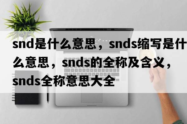 snd是什么意思，snds縮寫(xiě)是什么意思，snds的全稱(chēng)及含義，snds全稱(chēng)意思大全
