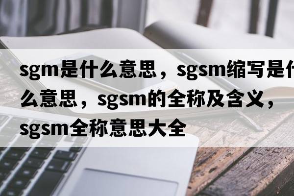 sgm是什么意思，sgsm縮寫(xiě)是什么意思，sgsm的全稱(chēng)及含義，sgsm全稱(chēng)意思大全