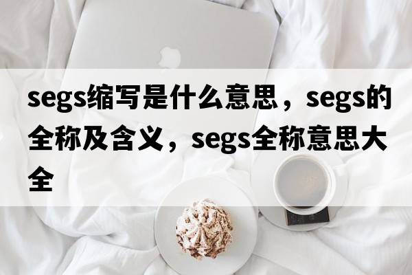 segs縮寫(xiě)是什么意思，segs的全稱(chēng)及含義，segs全稱(chēng)意思大全