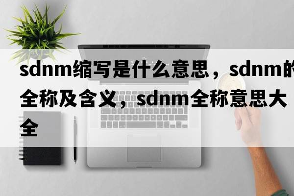 sdnm縮寫(xiě)是什么意思，sdnm的全稱(chēng)及含義，sdnm全稱(chēng)意思大全