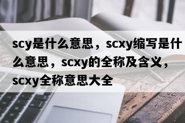 scy是什么意思，scxy縮寫(xiě)是什么意思，scxy的全稱(chēng)及含義，scxy全稱(chēng)意思大全