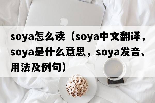 soya怎么讀（soya中文翻譯，soya是什么意思，soya發(fā)音、用法及例句）