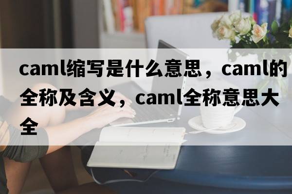 caml縮寫(xiě)是什么意思，caml的全稱(chēng)及含義，caml全稱(chēng)意思大全