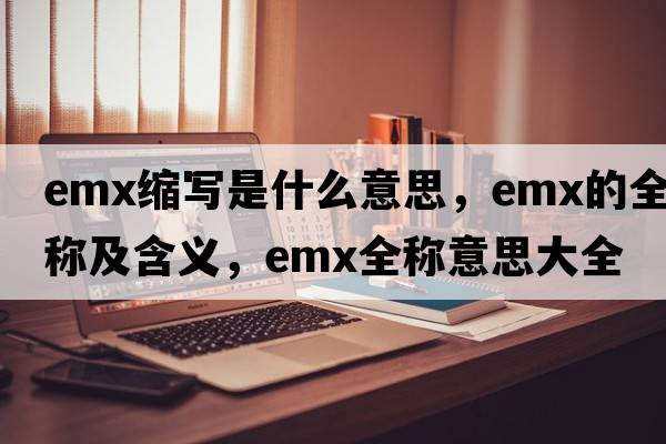 emx縮寫(xiě)是什么意思，emx的全稱(chēng)及含義，emx全稱(chēng)意思大全
