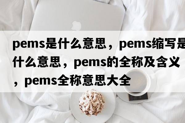 pems是什么意思，pems縮寫(xiě)是什么意思，pems的全稱(chēng)及含義，pems全稱(chēng)意思大全