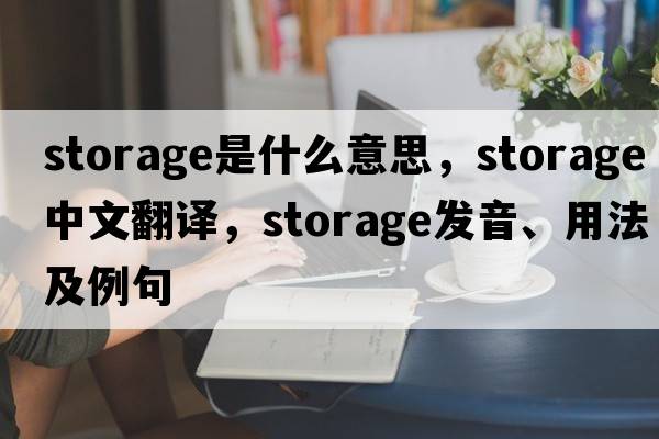 storage是什么意思，storage中文翻譯，storage發(fā)音、用法及例句
